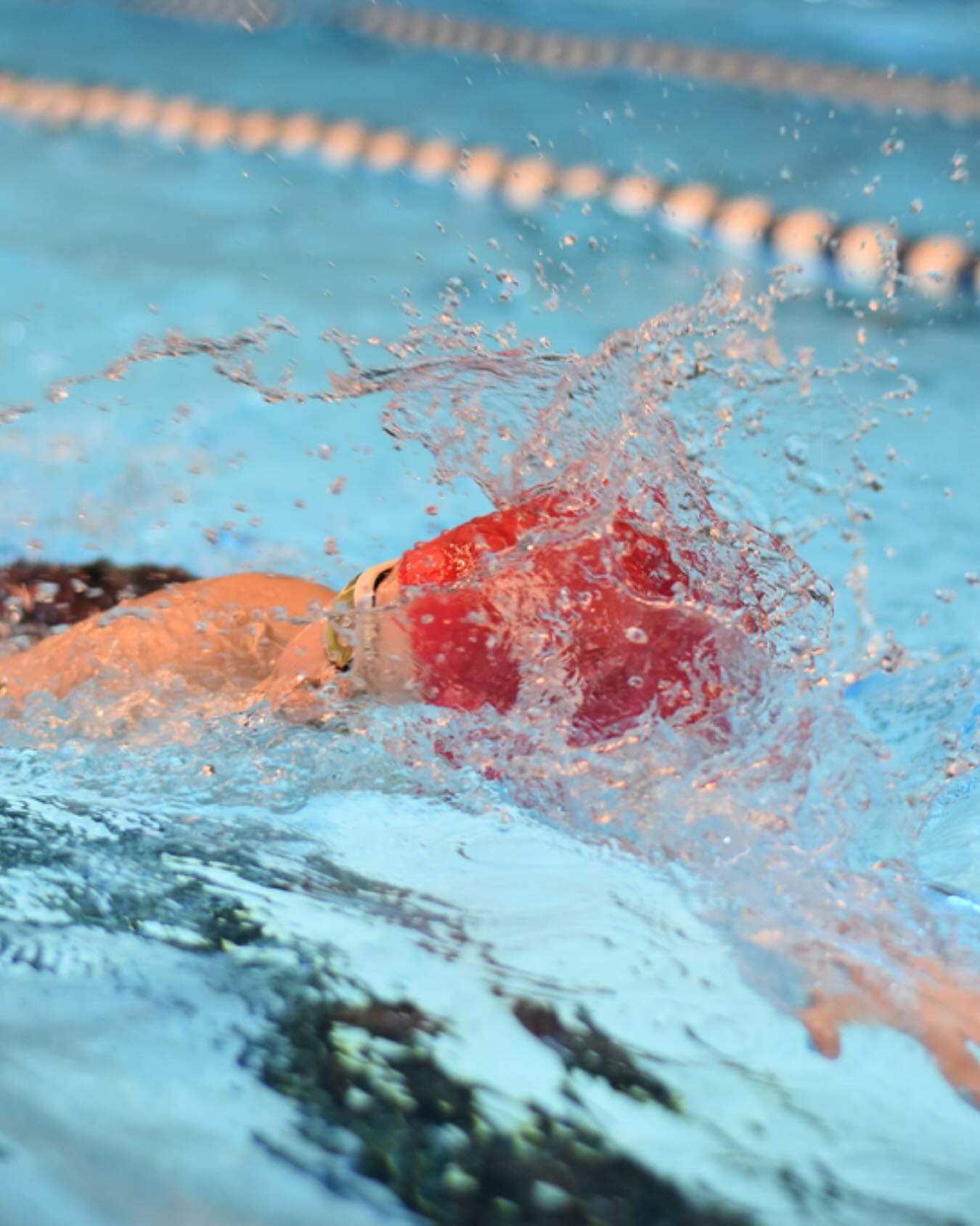 Viel zu viele Kinder können nicht sicher schwimmen!🚨In unserer Story konntet ihr euer Wissen rund um das Thema Schwimmfähigkeit testen – hier kommt die Auflösung! 👇🏼
1️⃣ Wann wurde das erste Schwimmabzeichen eingeführt?
✔️ 1978 –Eine lange Tradition in Deutschland!
2️⃣ Gilt das Seepferdchen als „sicheres Schwimmen“?
✔️ Falsch – Es ist der erste Schritt, aber noch keine Sicherheit im Wasser.
3️⃣ Welche Schwimmart sollte man als erstes beibringen?
✔️ Rücken – Auch wenn häufig zuerst Brustschwimmen gelehrt wird, ist Rückenschwimmen für Kinder meistens leichter.
4️⃣ Wie viele offizielle Schwimmabzeichen gibt es?
✔️ 4 – Seepferdchen, Bronze, Silber und Gold.
5️⃣ Wie viele Kinder können nach der Grundschule nicht sicher schwimmen?
✔️ Mehr als 50% – Ein erschreckender Wert!
6️⃣ Wie vielen Kindern konnte der LSN in den vergangenen 5 Jahren durch Förderprojekte das Schwimmen beibringen?
✔️ 16.500 – Durch unsere Startklar-Kurse und die Schwimminitiative Niedersachsen konnten in den vergangenen Jahren Tausende von Kindern Schwimmen lernen!
👉🏼Übrigens: Vom 14.–22. Juni 2025 finden die Schwimmabzeichentage statt – eine tolle Gelegenheit, Schwimmfähigkeit zu fördern und Abzeichen zu erwerben! Mehr Infos findet ihr beim @deutscher_schwimm_verband_ 💦
#lsn #niedersachen #schwimmenlernen #schwimmfähigkeit #schwimmabzeichen #sicherschwimmen #Schwimmabzeichentage2025