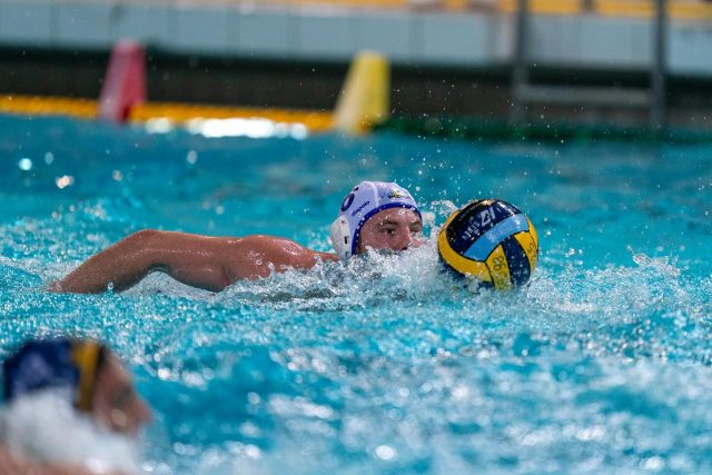 Der November ist schon wieder fast vorbei und in den vergangenen Wochen gab es einige Highlights. Von der DKM, LM und LJM über internationale Wasserball-Erfolge bis hin zu Synchro-Starts in Budapest war einiges los.🔥
Hier deshalb eine kleine Zusammenstellung der letzten Wochen….📸
…und es geht direkt weiter: Auch dieses Wochenende stehen wieder mehrere LSN-Events und Wettkämpfe an.🤩
📸 @patrickwallbaum_fotografie
#lsn #landesschwimmverbandniedersachsen #niedersachen #wasserball #schwimmen #synchronschwimmen