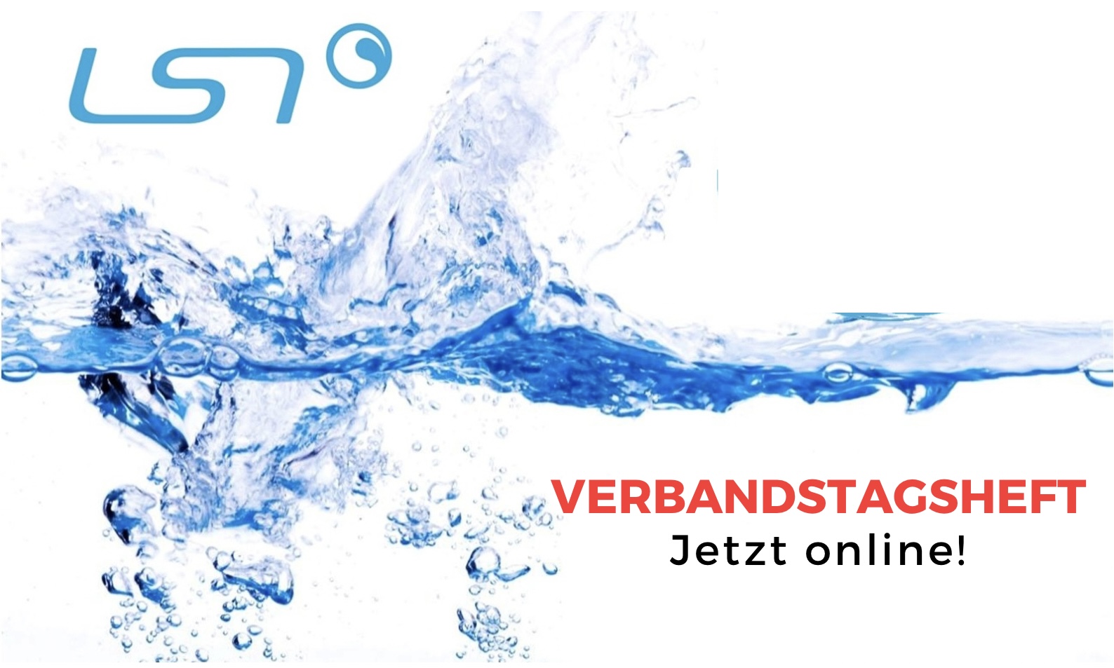 LSN-Verbandstagsheft 2025 jetzt online verfügbar