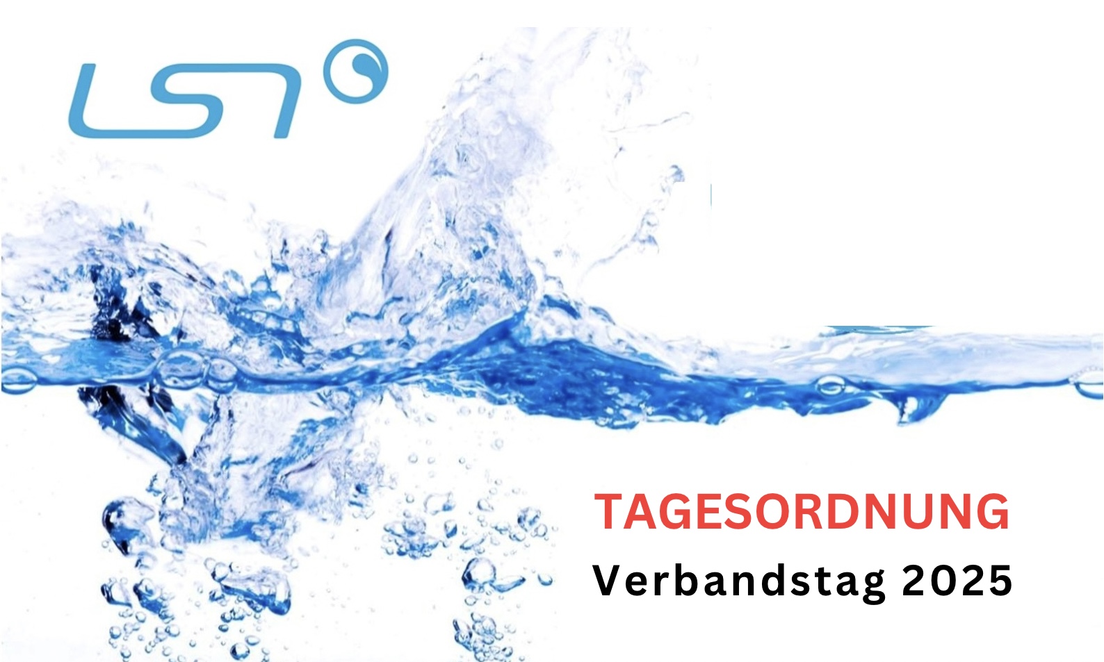 Verbandstag 2025 – Tagesordnung