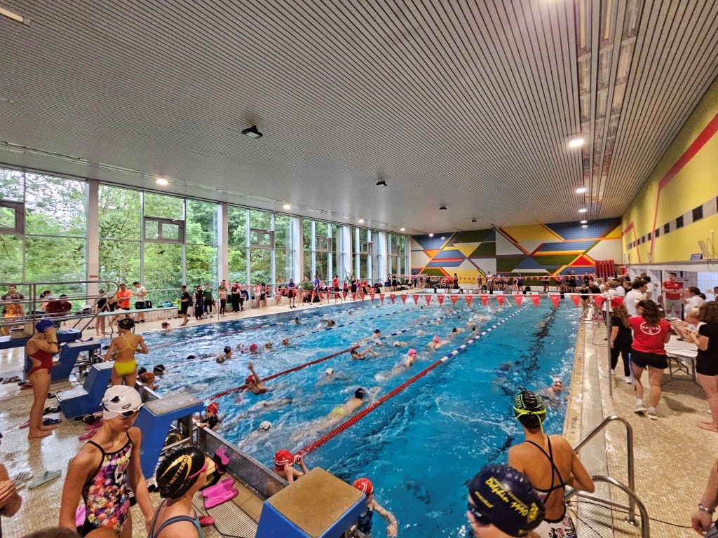 Jeweils eine Medaille in Gold, Silber und Bronze bei den DM im SMK in Dortmund