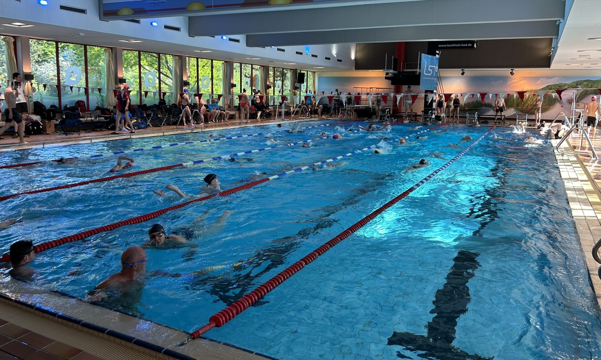 Landesmastersmeisterschaften in Buchholz | SG Wiste-Damen schwimmen Deutschen Rekord