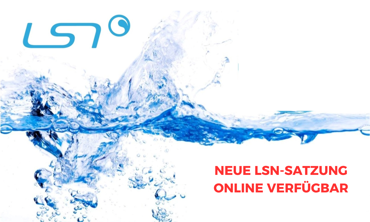 Neue LSN-Satzung online verfügbar