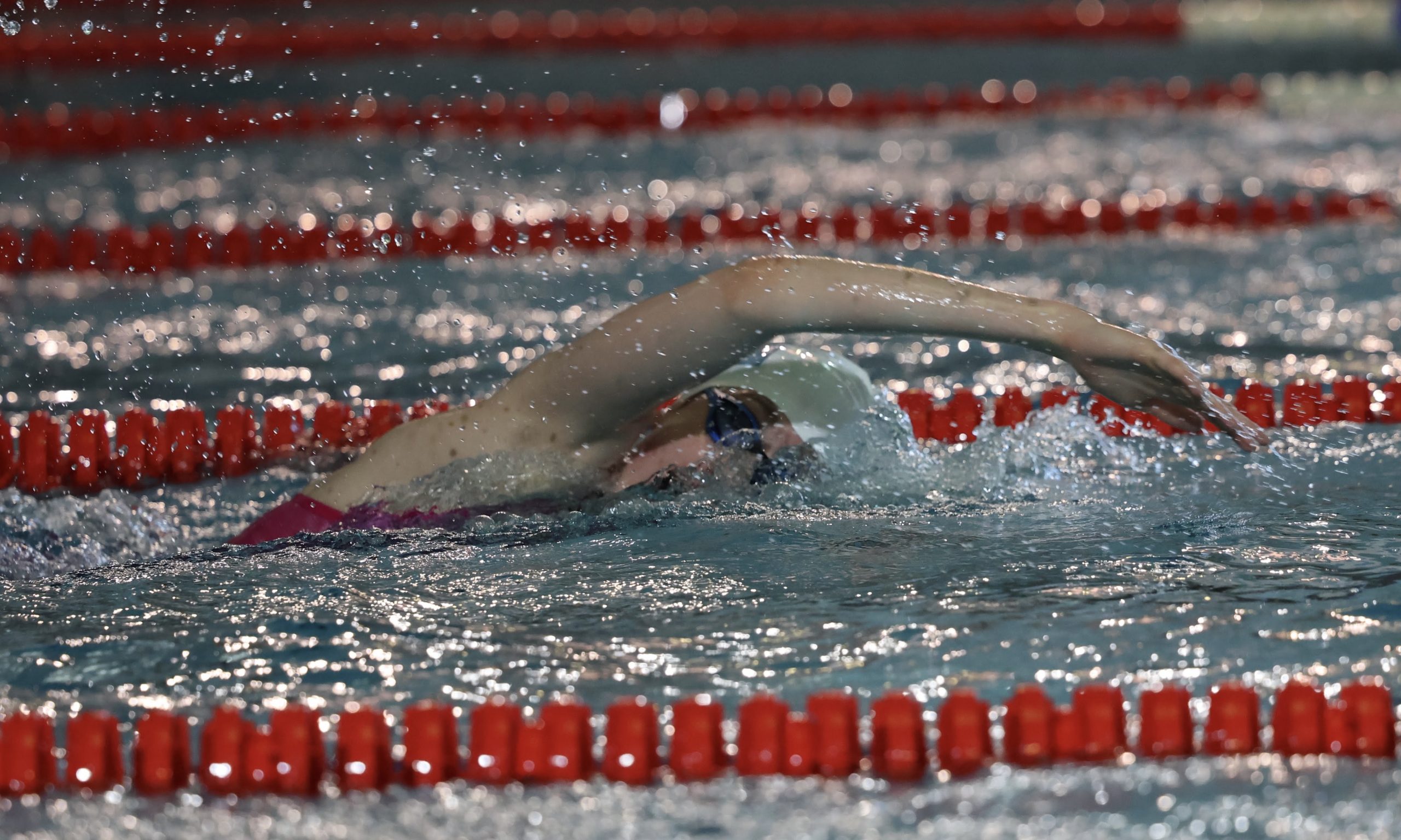 36 LSN-Medaillen bei den Norddeutsche Meisterschaften „Lange Strecke“ in Magdeburg